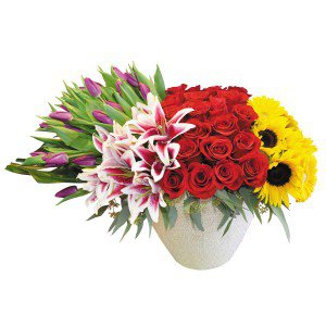 Remove background and clean up picture (1) Remove background and clean up