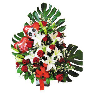 Remove background and clean up picture (10) Remove background and clean up