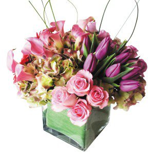 Remove background and clean up picture (11) Remove background and clean up