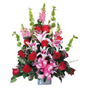 Remove background and clean up picture (12) Remove background and clean up