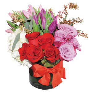 Remove background and clean up picture (2) Remove background and clean up