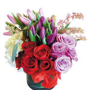 Remove background and clean up picture (3) Remove background and clean up