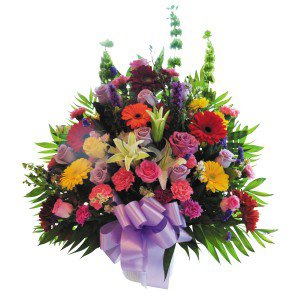 Remove background and clean up picture (4) Remove background and clean up