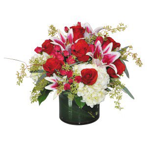 Remove background and clean up picture (7) Remove background and clean up