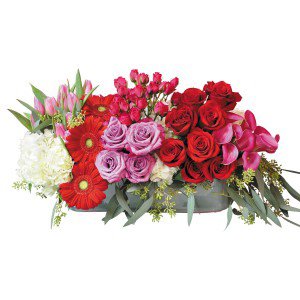 Remove background and clean up picture (8) Remove background and clean up